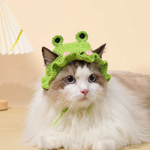 Autumn Winter Cat Hat Elastic Cute Refined Pet Hat Puppy Kittens Knitted Hat Party Photo Shoot Props Decoration Cat Acce