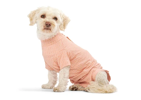 BUSTER Body Suit Stepn Go For Dogs, XS-XL, Peachy Orange