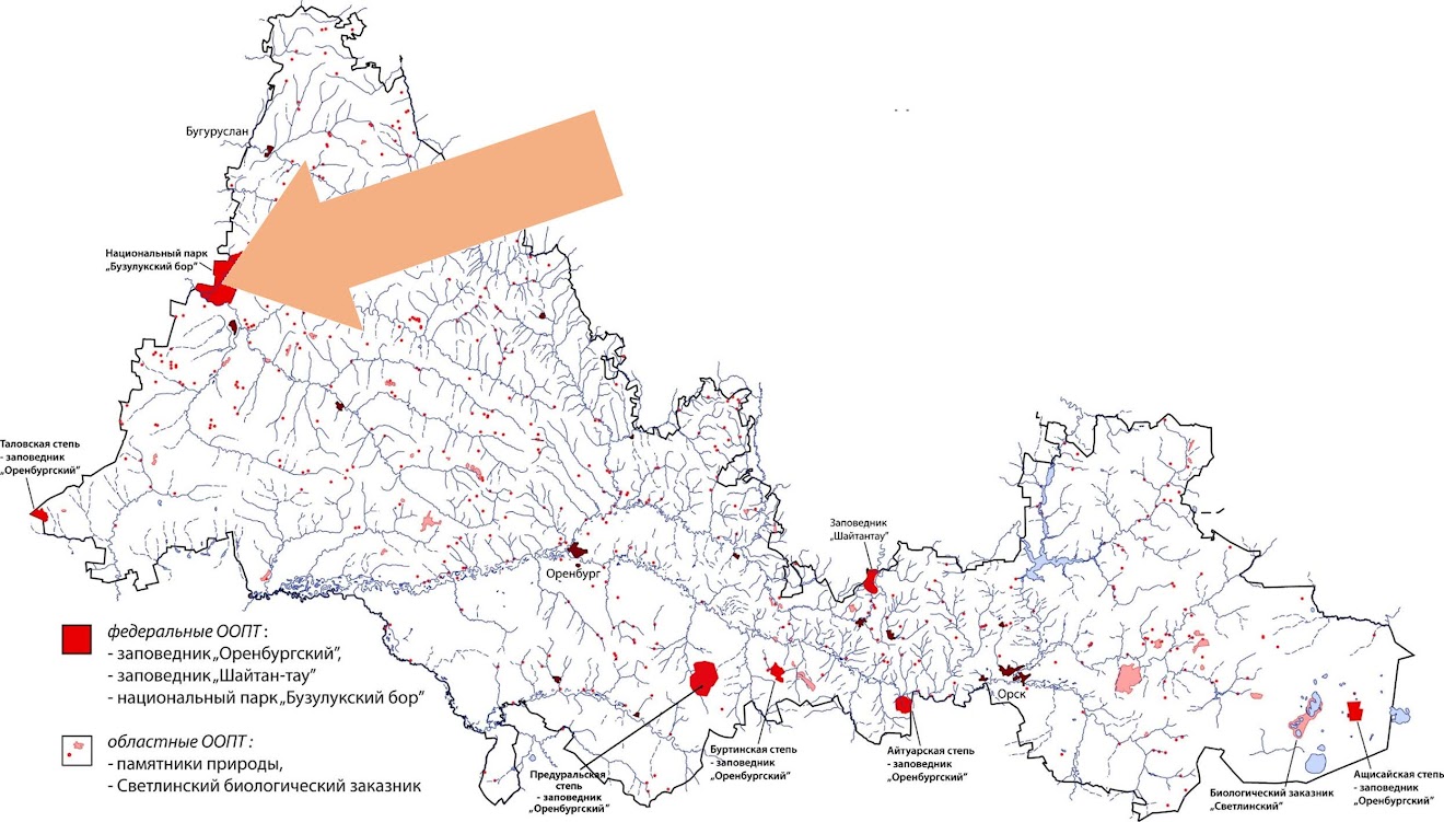Охраняемые территории оренбургской области. Бузулукский Бор национальный парк на карте. Границы национального парка Бузулукский Бор. Карта национального парка Бузулукский Бор. Карта парка Бузулукский Бор Оренбургская область Бузулукский.