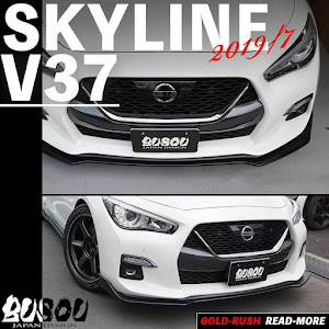 スカイライン RV37