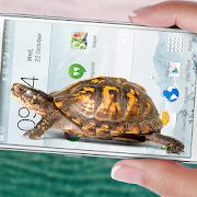 Turtle Walks in Phone joke  Icon