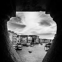 Dettaglio di Rialto - Canalgrande in un vaso di 