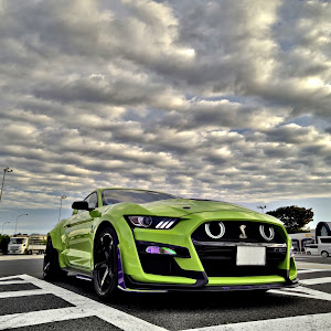 シェルビー GT500