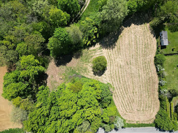 terrain à Montsaunès (31)