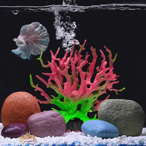 images slider number - 5