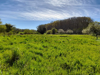 terrain à Saint-Laurent (23)