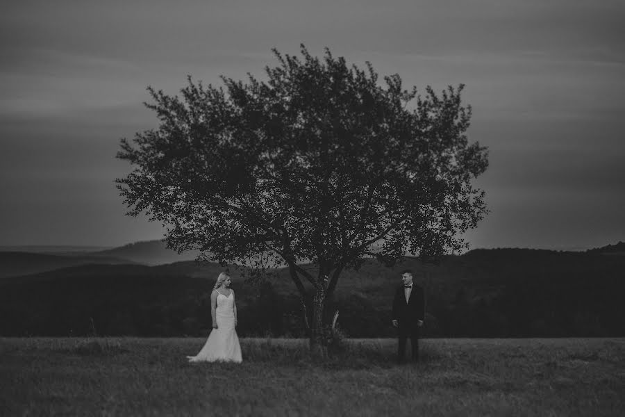 Photographe de mariage Tomasz Mosiądz (vintageartstudio). Photo du 4 août 2017