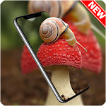 Cover Image of Download Snail Wallpaper HD 1.0.72 APK