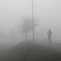 nella nebbia di 