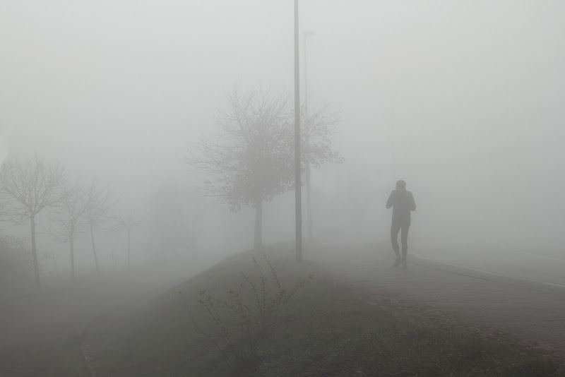 nella nebbia di rino_savastano