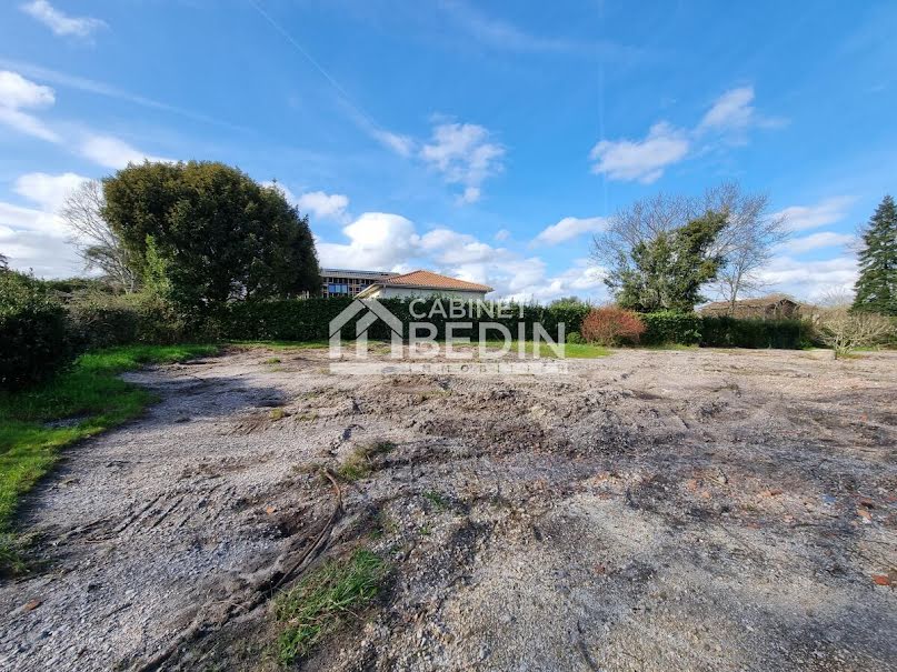 Vente terrain  732 m² à Canejan (33610), 244 500 €