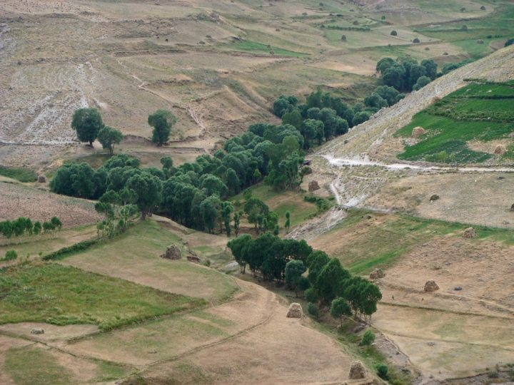 Dove scorre l'acqua cè vita di peja