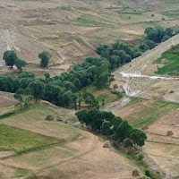 Dove scorre l'acqua cè vita di 