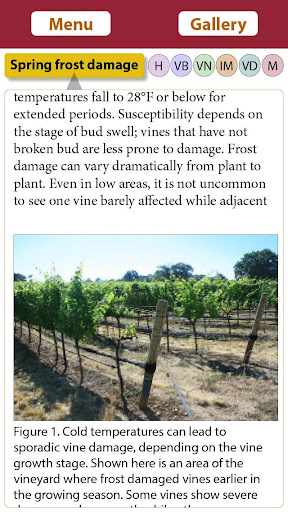 Vineyard Growth