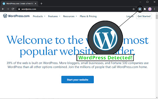 WordPress Detector