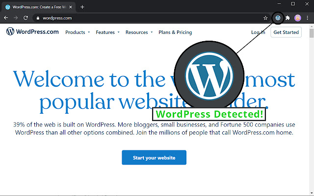 WordPress Detector chrome extension