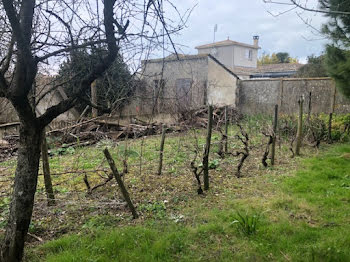 terrain à Bourcefranc-le-Chapus (17)