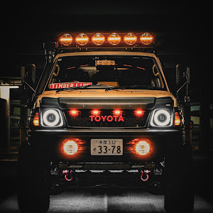 ランドクルーザープラド VZJ95W