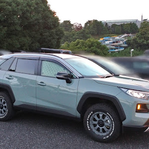 RAV4 MXAA54