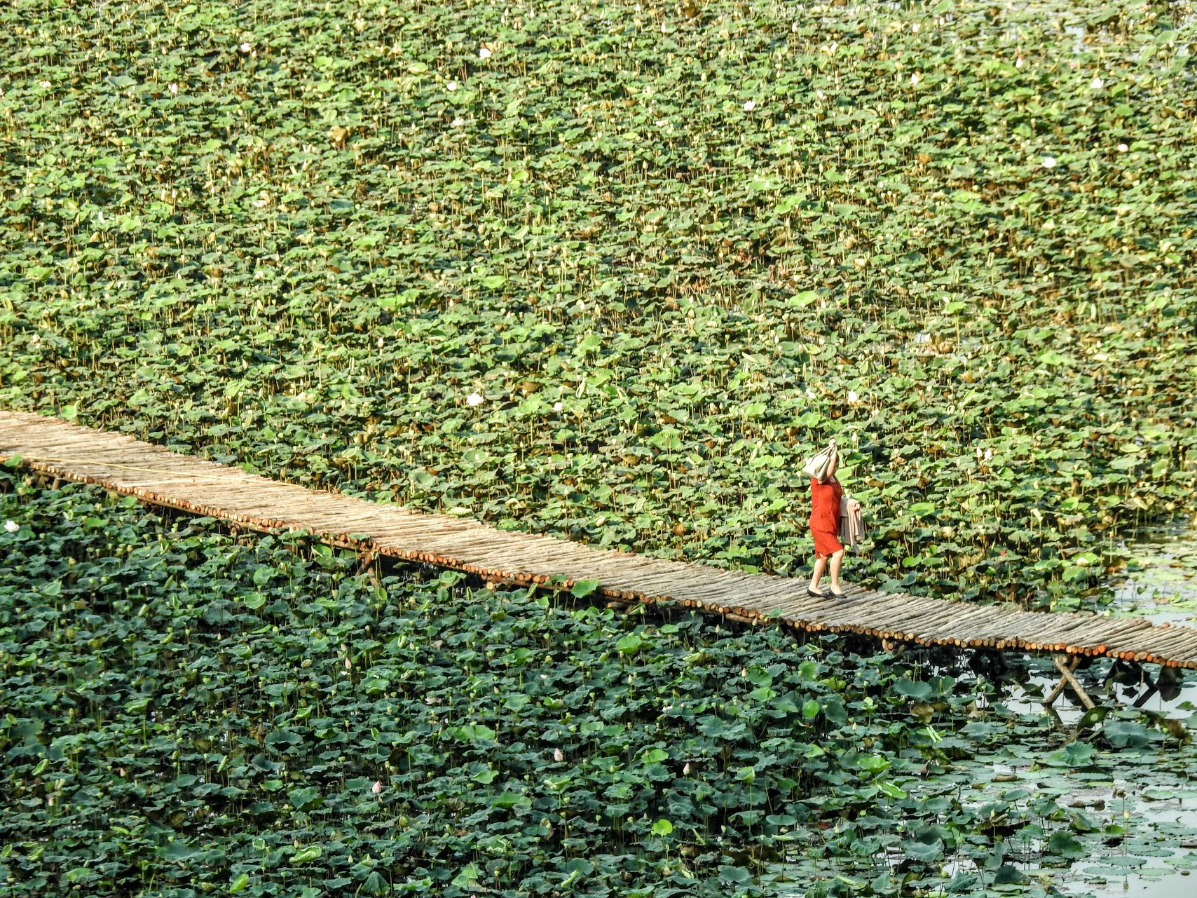 Guía de viaje a Vietnam