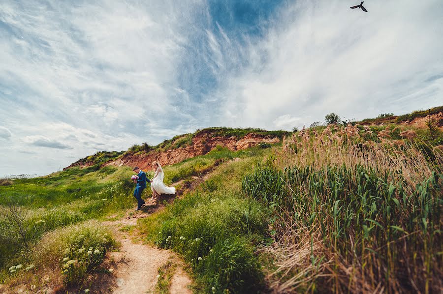 Fotógrafo de casamento Dmitriy Vasilenko (dmvasilenko). Foto de 21 de maio 2015