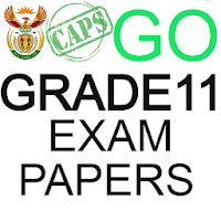 2020 Grade 11  Go  Grade 11 Question Papers