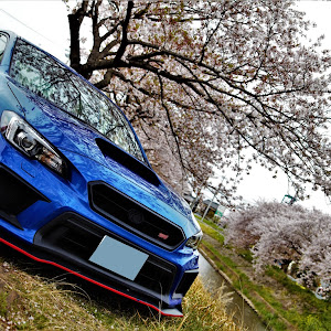 WRX STI VAB