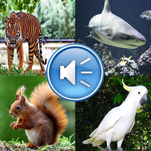 Animals edition. Животные звуки. Лучшие звуки животных APKCOMBO. Animal Sounds Sounds APK game. Animal Sounds 1.4APK.