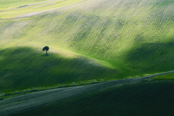 Sperduto..... di michele vitulano