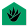 Agave icon