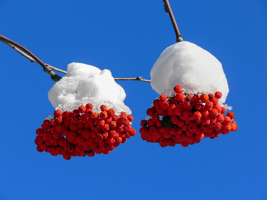 Neve...du palle ! di D. Costantini