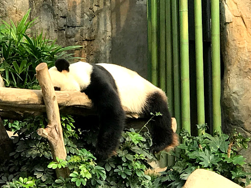 Hong Kong China 2018