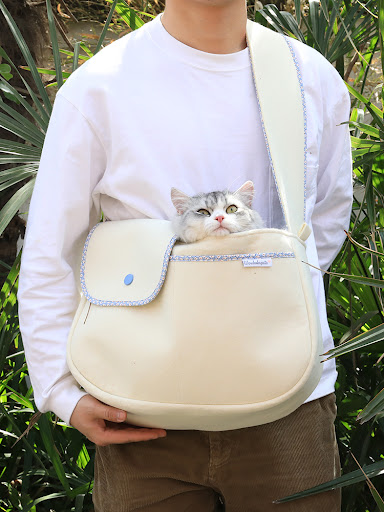 Title 6, Korean Cat Bag Portable for Outings Comfortable...