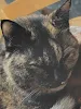 ユーザー