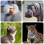 Cover Image of ダウンロード Mammals – Learn All Animals in Foto-Quiz! 1.5 APK