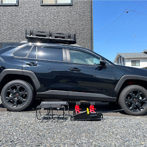 RAV4 AXAH54