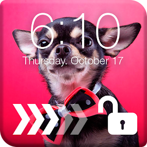 Download Chihuahuas Dog Screen Lock For PC Windows and Mac