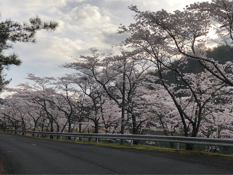 の投稿画像7枚目