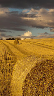 Hay Bales Wallpaper(圖6)-速報App