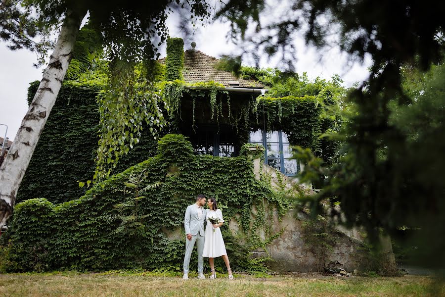 Fotógrafo de casamento Radu Dumitrescu (radudumitrescu). Foto de 24 de julho 2023