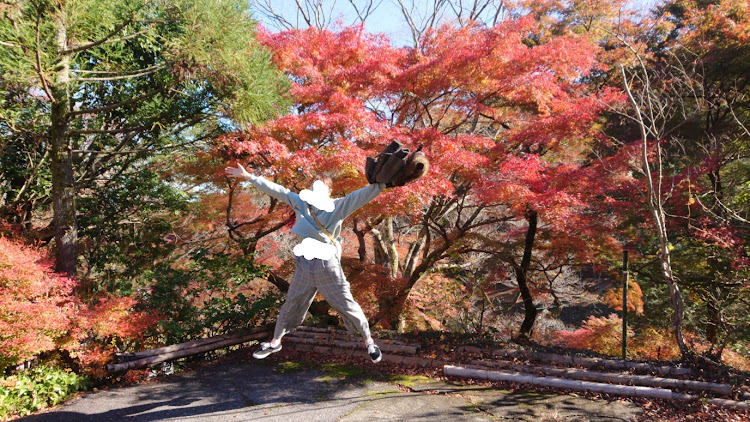 しふぉみんさんが投稿したいつもイイネ&コメントありがとうございます🙇‍♂️・養老公園・養老の滝・パトカーとコラボ・紅葉に関するカスタム事例の投稿画像9枚目