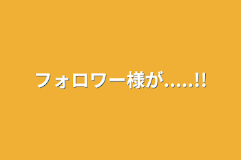 フォロワー様が.....!!