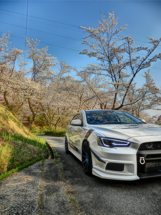 ギャランフォルティスの桜とコラボ・息子とツーリング・白川GO・ガチ丸・NDロードスターに関するカスタム事例の投稿画像3枚目