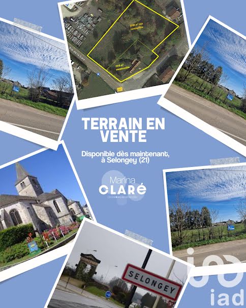 Vente terrain  7567 m² à Selongey (21260), 158 000 €