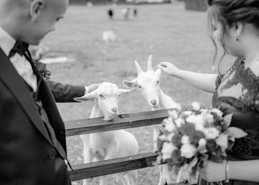 Fotógrafo de casamento Sergey Potlov (potlovphoto). Foto de 11 de dezembro 2019