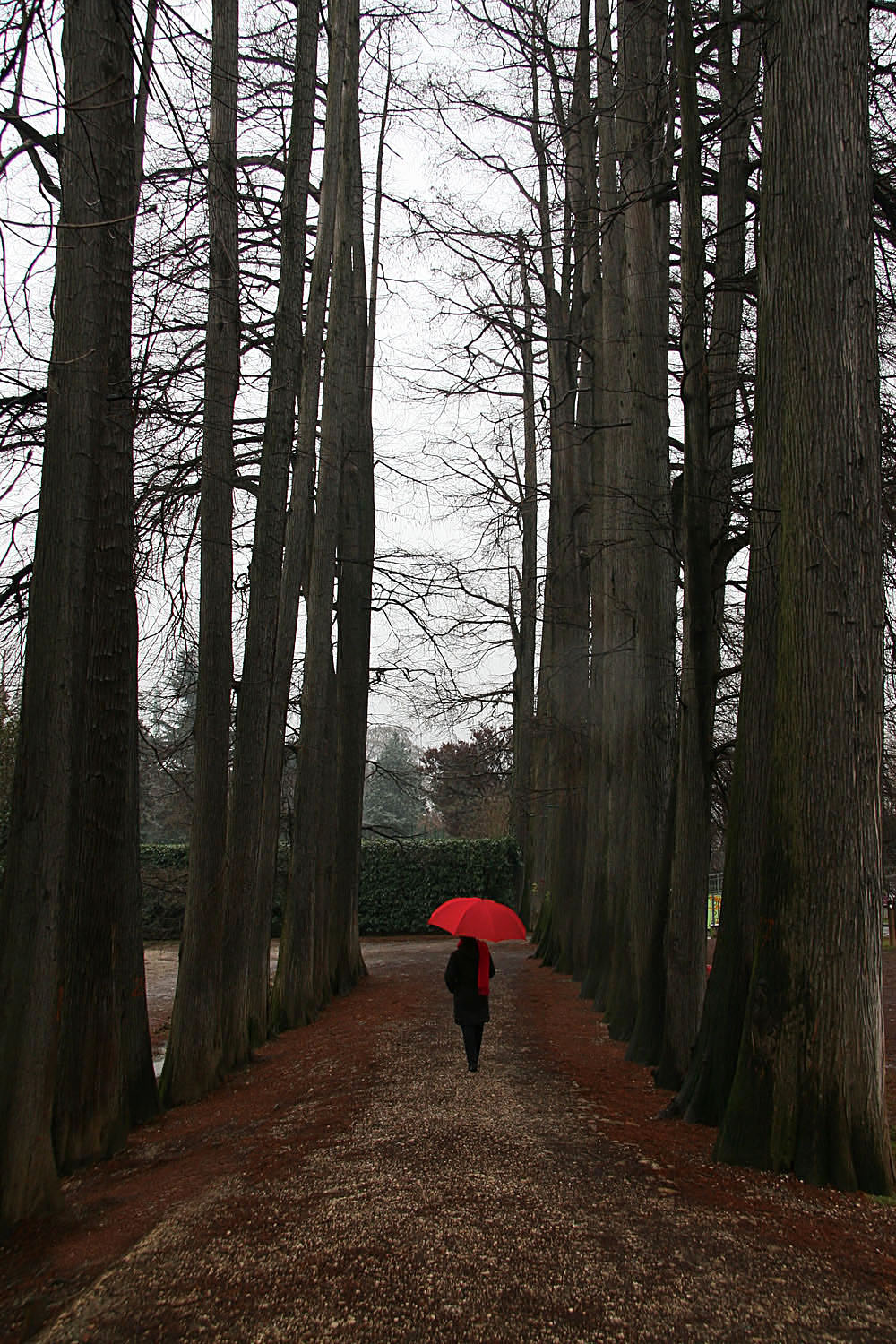 verso l'inverno di roberto-copeta