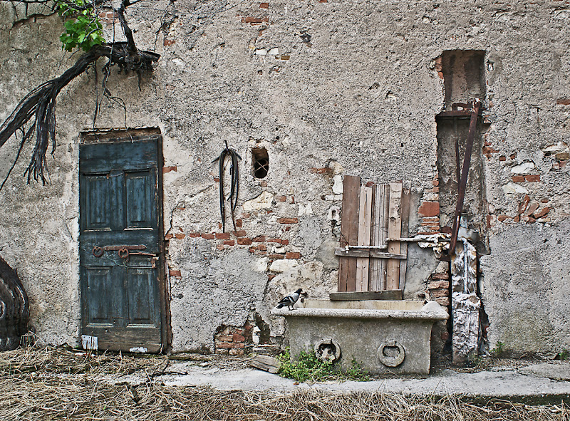 Non c'è acqua di Amadeus