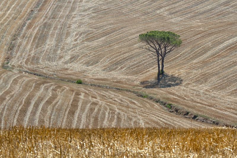 confini in agricoltura di antonioromei