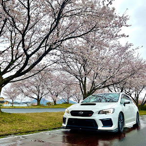 WRX STI VAB