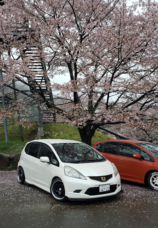 フィットの繋がりに感謝・桜とコラボ・サクラと愛車・市房ダムドライブに関するカスタム事例の投稿画像1枚目